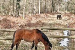 PXL_20230321_144242254-01-scaled