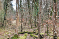 PXL_20230321_151114634-01-scaled