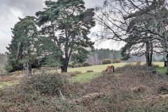 PXL_20230321_155208238.MP-01-scaled