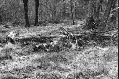 2023-03-26-0001_edited