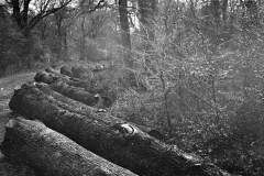 2023-03-26-0002_edited