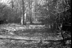 2023-03-26-0003_edited