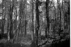 2023-03-26-0009_edited