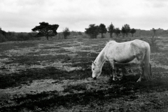 2023-03-26-0013_edited