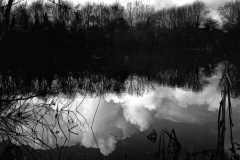 2023-03-26-0017_edited