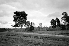 2023-04-04-0002_edited