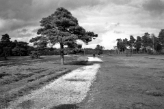 2023-04-04-0003_edited