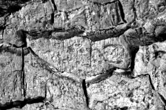 6e509c3d61dd16b46bf94e6a52ed0d2a1598