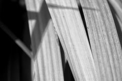 7f2c6a4bef1198987184dabbc103bebae1c5