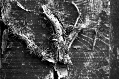 cc41581a4e4f62c952cdb1e5272872782e84