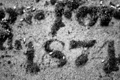 f03c6615ddbd7912715e966c0f9c44dca528