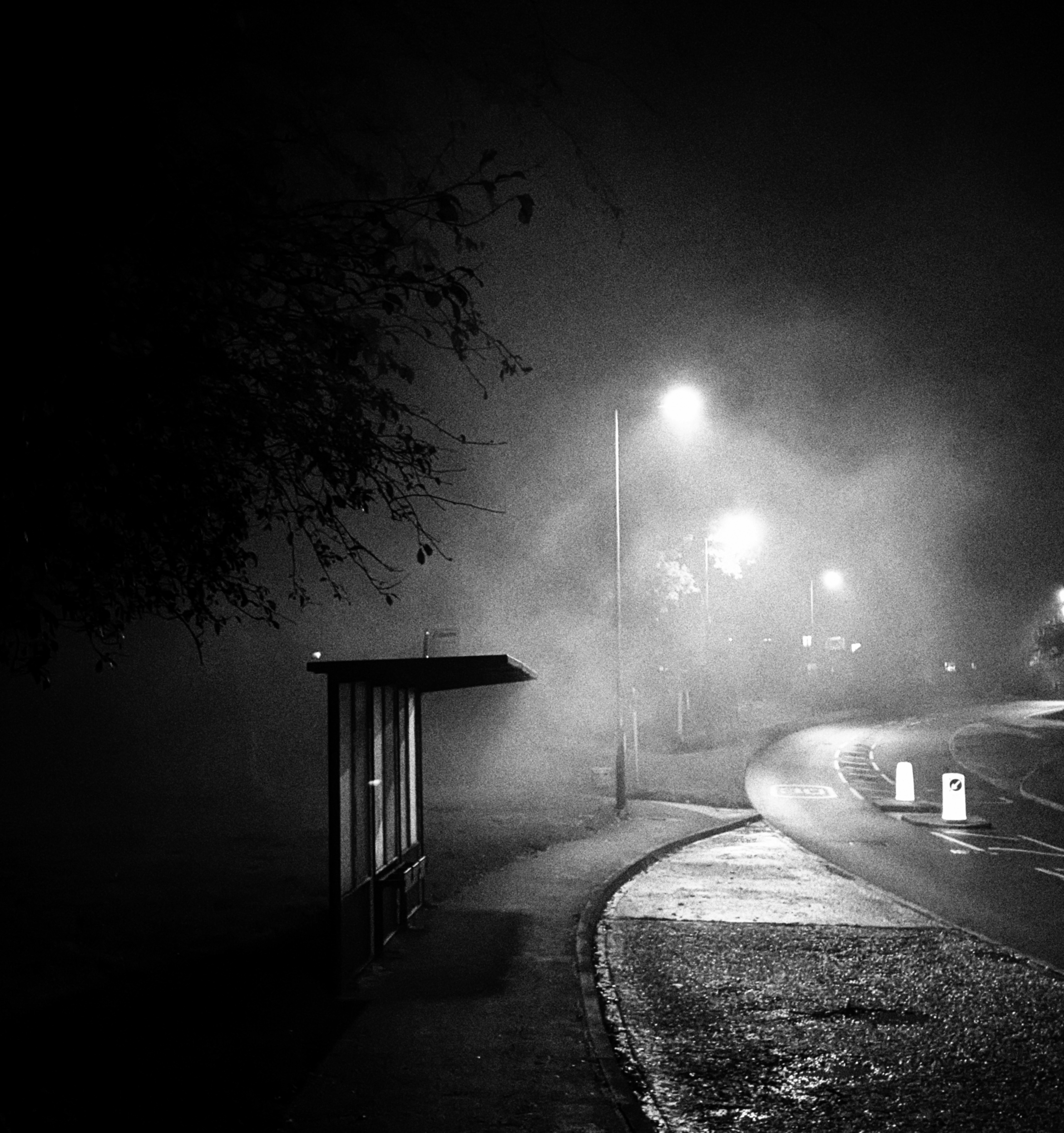 bus stop on an empty street on a murky night
