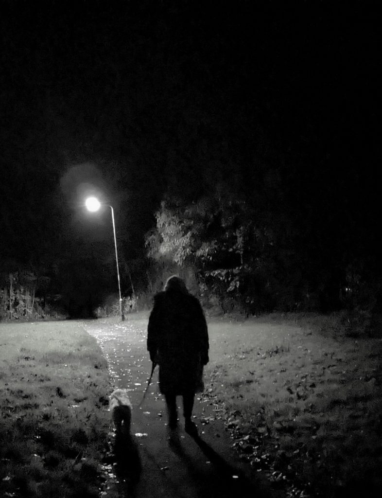 dog walker at night