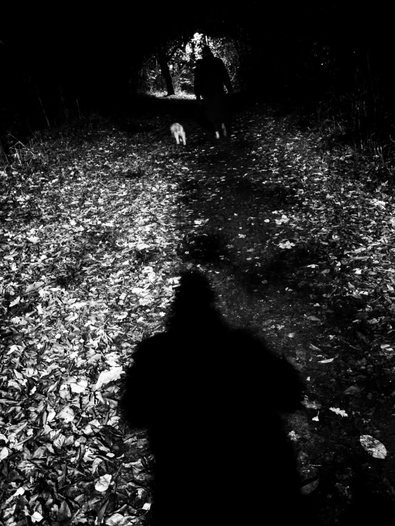 shadow of a man with a dog walker ahead